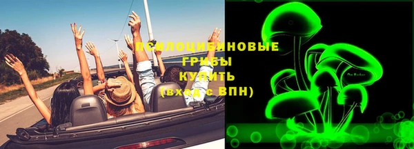 стаф Михайлов
