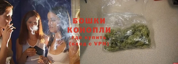 стаф Михайлов